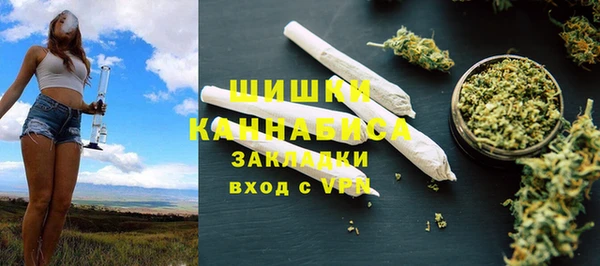 стафф Бородино